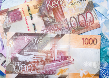 Profitable Kenyan Businesses You Can Start With Ksh1 Million