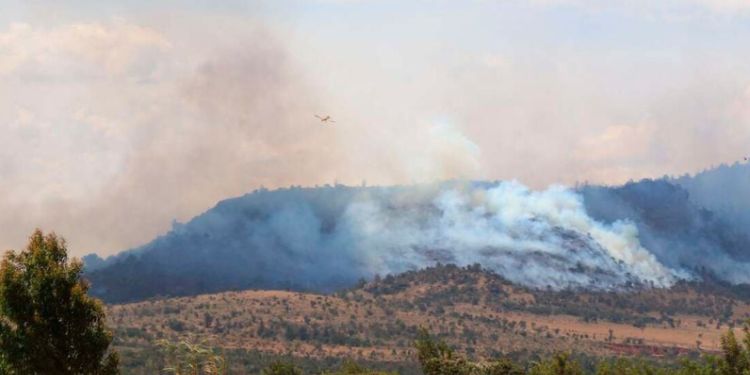 Britain To Pay Ksh520M After Troops Caused Forest Fire In Kenya