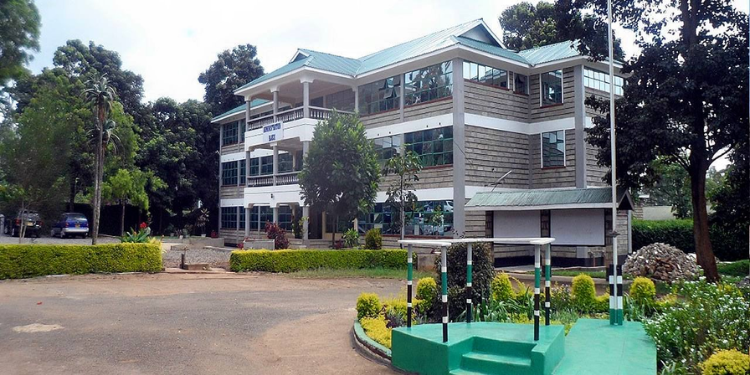 Meru School History, Fees, Kcse Performance And Key Contacts