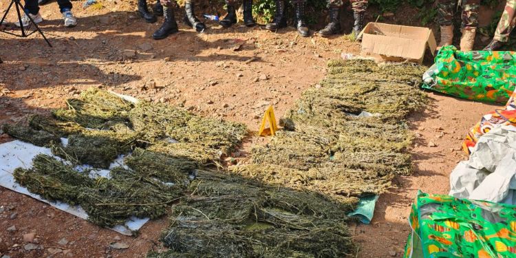 Wanted Man Flees, Wife Held As Police Uncover Lucrative Crime