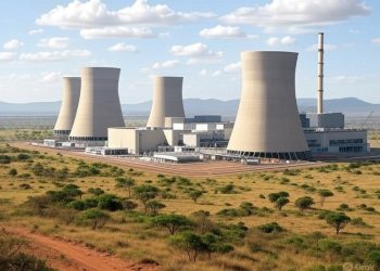 Response To Fact Sheet On Kenya’s Clean Energy And The Future