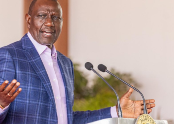 Govt Announces Mass Internship Opportunities For Fresh Graduates – How To Apply