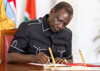 Ruto Nominates Claris Awour As Knchr Chair After Oburu Ojwang'S Rejected Job Offer