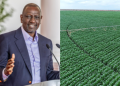 Kenya Gives 180,000 Acres Of Galana Kulalu Land To Uae Based Al Dahra