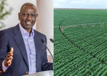 Kenya Gives 180,000 Acres Of Galana Kulalu Land To Uae Based Al Dahra