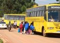 A Fleet Of School Buses Packed By The Road