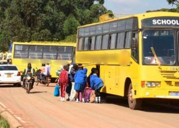 A Fleet Of School Buses Packed By The Road