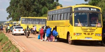 A Fleet Of School Buses Packed By The Road