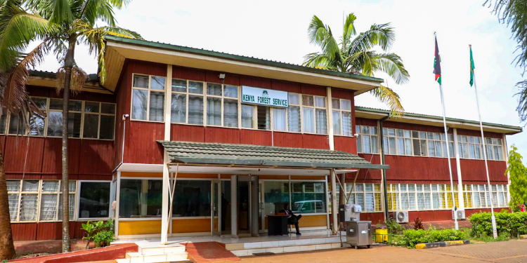 Kenya Forest Service Clarifies Job Loss Fears And Operations At Karura Forest The Kenya Forest Service