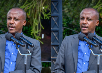 Mutula Kilonzo Junior