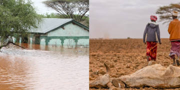 A Photo Collage Depicting The Impact Of Disasters In Kenya, Highlighting Both Floods And Drought. Photo/Who/Kna