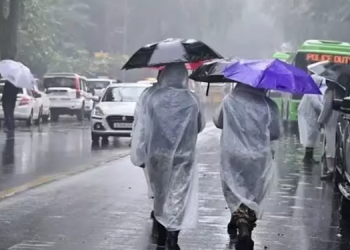 A Photo Showing People Carrying Umbrellas While Walking Outdoors During The Rainy Season Photo/Newsmeter