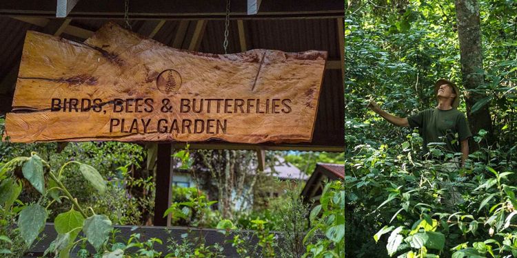 Kenya’s Hidden Gems: Inside Brackenhurst Botanical Garden, The Next Karura Forest Brackenhurst Botanical Garden. Photo/Brackenhurst Botanical Garden