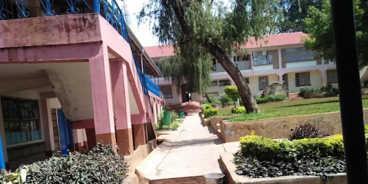 Lkuu Boys High School History, Fees, Kcse Performance And Contacts