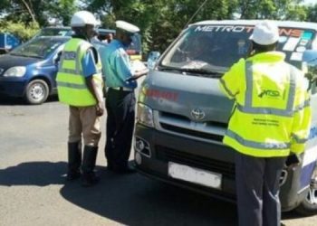 How To Perform Vehicle Search On Ecitizen