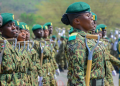 Nys Announces Internships With Ksh15 K Stipend For Select Kenyans