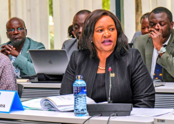 Cs Rebecca Miano Announces Free Entry Into Kws National Parks