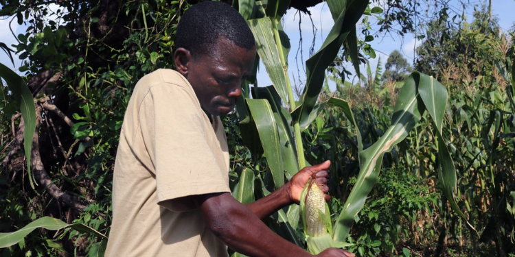 Kenya Met Forecasts Rainfall For Specific Regions This Week Kenya Met Issues Forecast For Rainfall From 16Th September