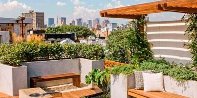 Farming Above The City: Rooftop Gardening In Nairobi An Image Of A Rooftop Gardening. Photo/ Fotosearch