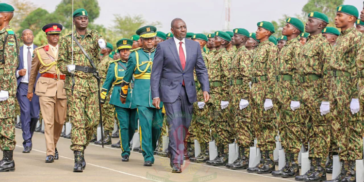 Nys Announces Internships With Ksh15 K Stipend For Select Kenyans