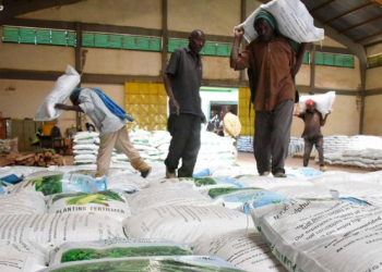 Workers Offload Fertiliser From A Truck To A Godown At The National Cereals And Produce Board, Eldoret Depot In Uasin Gishu County On April 4, 2022.