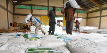 Workers Offload Fertiliser From A Truck To A Godown At The National Cereals And Produce Board, Eldoret Depot In Uasin Gishu County On April 4, 2022.