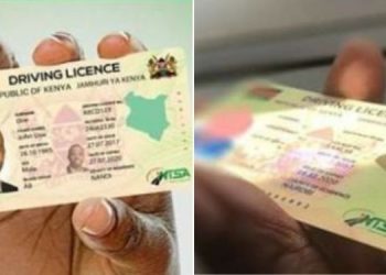How To Apply For A Digital Driving License