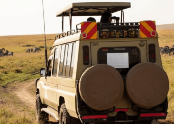 A Tourists Landcruiser In A Safari