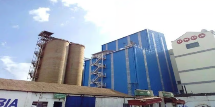 Unga Group Returns To Profitability After Ksh669 Million Loss In 2024