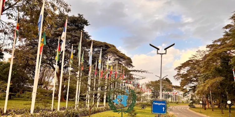 Meaning And Classification Of Diplomatic Number Plates In Kenya: List Of Different Codes
