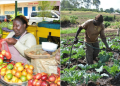 A Business Woman Selling Farm Produce And A Farmer On His Farm. Photo/ Kna/ Farmbiz