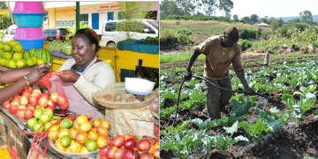 A Business Woman Selling Farm Produce And A Farmer On His Farm. Photo/ Kna/ Farmbiz