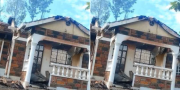 A Collage Of A Burnt House. 2025