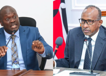 A Photo Collage Of Cs Aden Duale And Mp Anthony Kibagendi Photo/Health Ministry/Citizen