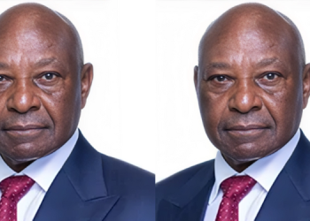 A Photo Collage Of The Britam Non-Executive Director, Jimnah Mbaru. Photo/Britam