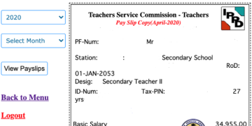 How To Check Your Tsc Payslip Online