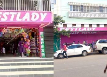Bestlady Cosmetics Owner, Products And Branches