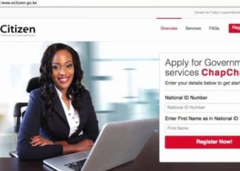 How To Change Directors Of A Company On Ecitizen