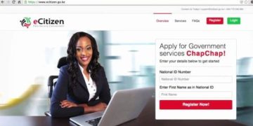 How To Change Directors Of A Company On Ecitizen