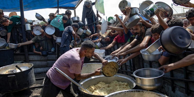 Massive Plan To Rebuild Gaza’s Education System Launched After Ceasefire Unicef To Return 650,000 Gaza Children To School After Ceasefire