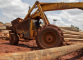 How To Apply For A Forestry Permit From Nema