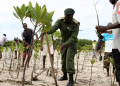 How To Apply For A Coastal Zone Management Permit