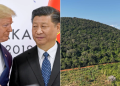 Little-Known Details Of Kenya’s Multibillion Mrima Hill Us And China Are Scrambling For A Coolage Of President Donald Trump, Left, Shakes Hands With Chinese President Xi Jinping In Japan, June 29, 2019 And Mrima Hill. Photo/Susan Walsh (Ap)