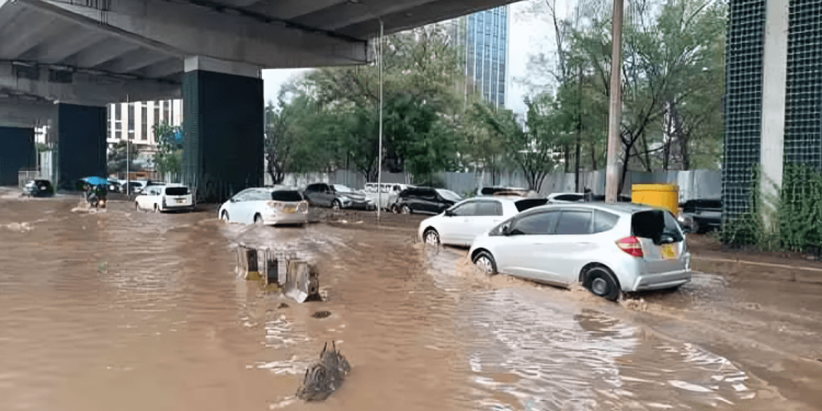 Kenya Met Warns Kenyans to Brace for Heavy Floods as Short Rains Begin