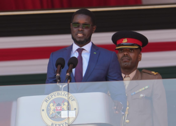 Diomaye Faye Profile: Education, Career And Politics