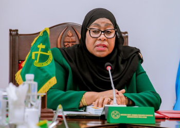 Samia Suluhu Profile: Political Career, Family And Education