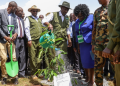 Kenya Met Lists Regions To Receive Rains On Mazingira Day And This Weekend