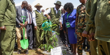 Kenya Met Lists Regions To Receive Rains On Mazingira Day And This Weekend