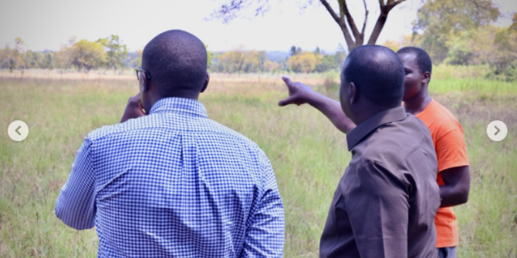 Inside Opoda Farm