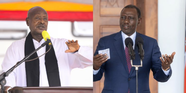Kenya Ordered To Pay 16 Ugandan Firms Ksh 6 Billion Collage Photo Of Uganda President Yoweri Museveni And President William Ruto. Photo/Museveni/Psc